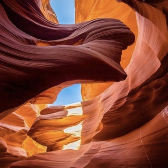 Meet your Posh Ambassador, Jana - Picture 15 of 16